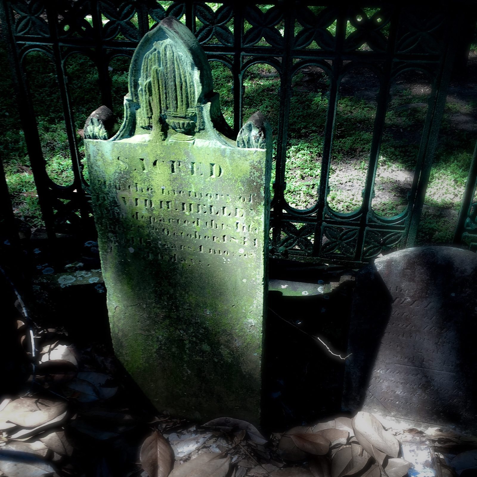 Cemetery Gate